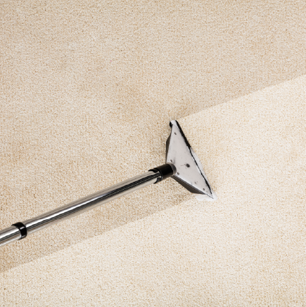 GCGD_Pyne_Website_Slices-23